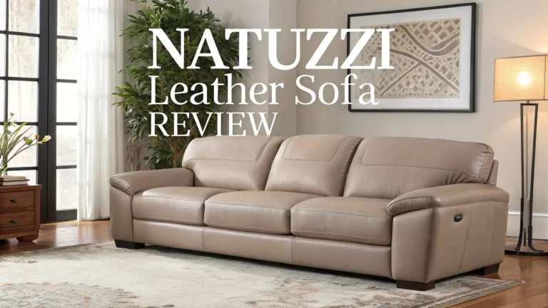 Natuzzi Leather Sofa Review: Your Complete Guide